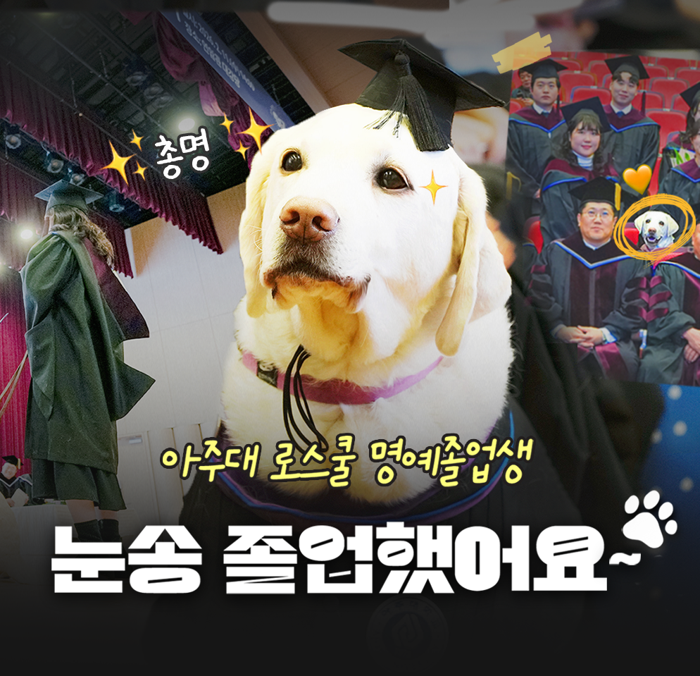 눈송이 졸업했어요~!