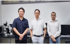徐亨卓教授研究组开发出模拟人类视觉的人工智能型光电存储器元件